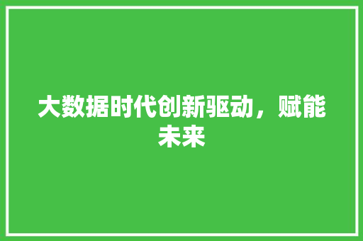 大数据时代创新驱动，赋能未来  第1张