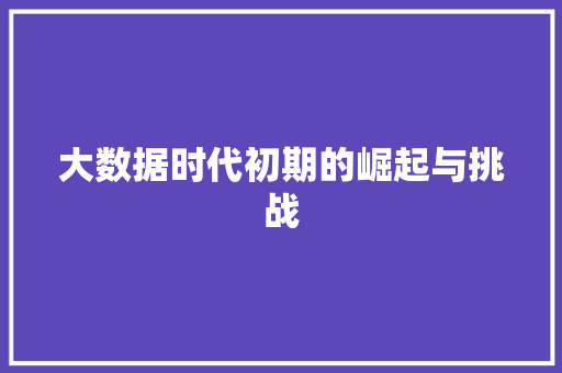 大数据时代初期的崛起与挑战