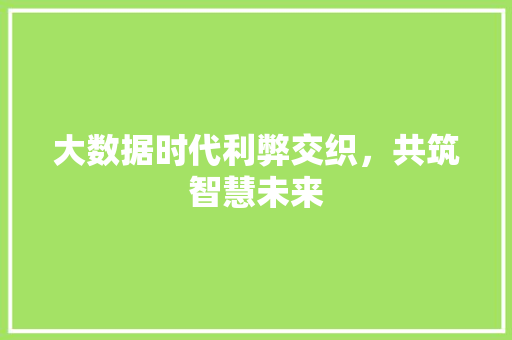 大数据时代利弊交织，共筑智慧未来