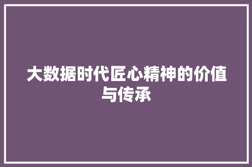 大数据时代匠心精神的价值与传承