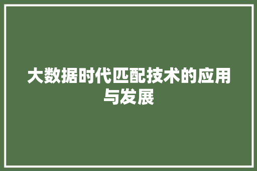 大数据时代匹配技术的应用与发展  第1张