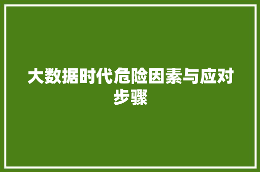 大数据时代危险因素与应对步骤  第1张