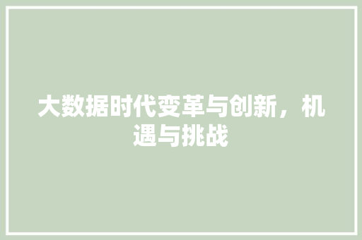 大数据时代变革与创新，机遇与挑战  第1张