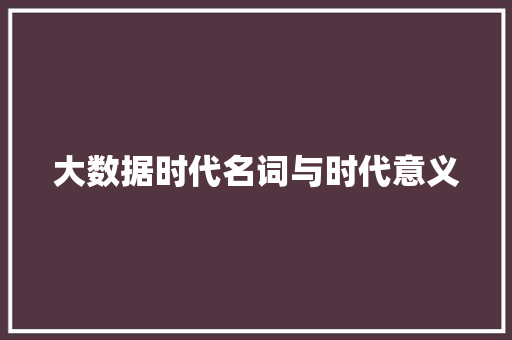 大数据时代名词与时代意义  第1张
