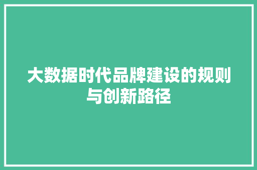 大数据时代品牌建设的规则与创新路径