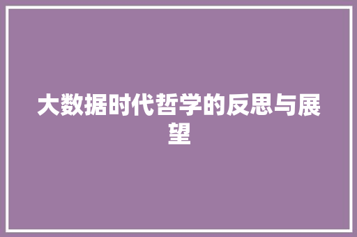 大数据时代哲学的反思与展望
