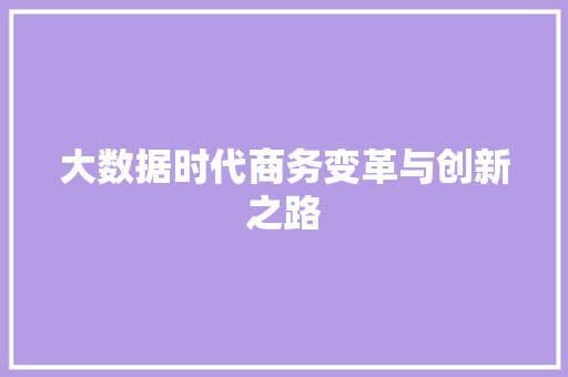 大数据时代商务变革与创新之路  第1张