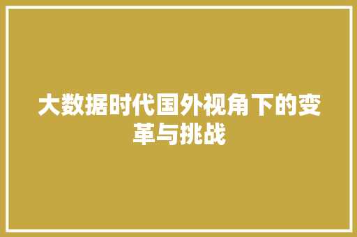 大数据时代国外视角下的变革与挑战  第1张