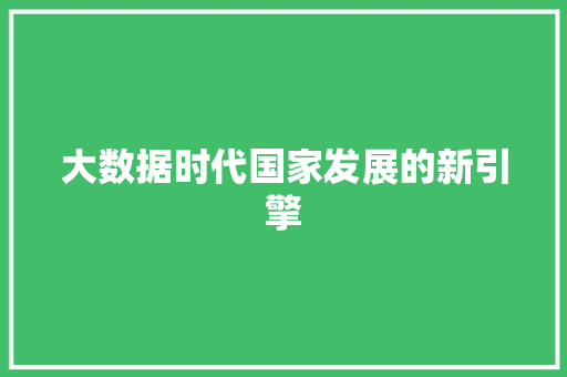 大数据时代国家发展的新引擎  第1张