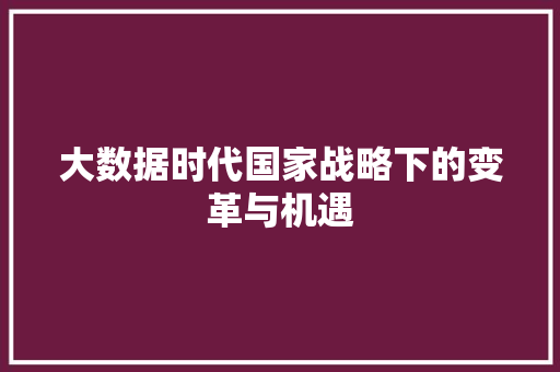 大数据时代国家战略下的变革与机遇  第1张