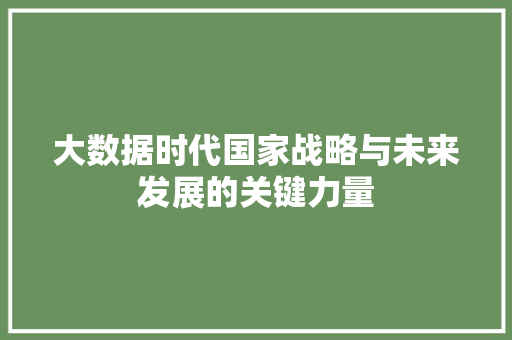 大数据时代国家战略与未来发展的关键力量  第1张
