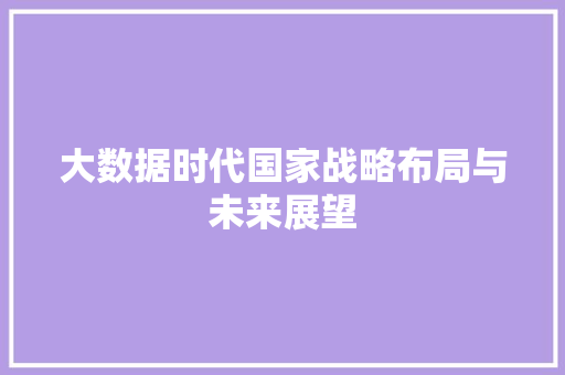 大数据时代国家战略布局与未来展望  第1张