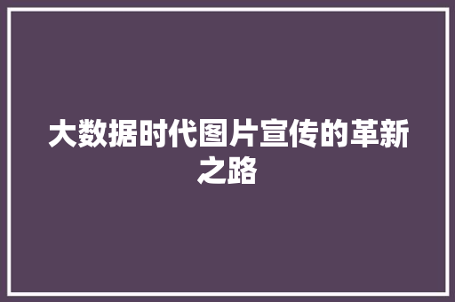 大数据时代图片宣传的革新之路  第1张