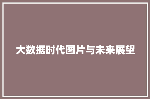 大数据时代图片与未来展望  第1张