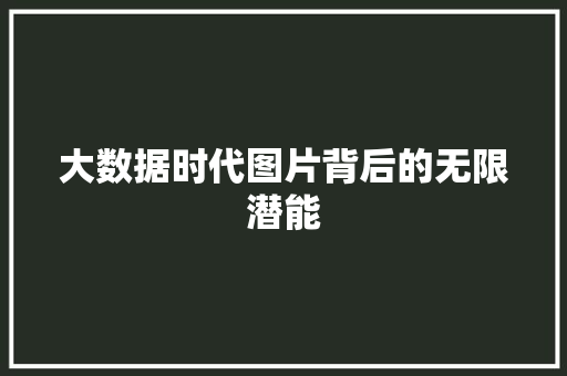 大数据时代图片背后的无限潜能  第1张