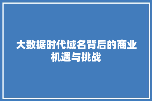 大数据时代域名背后的商业机遇与挑战