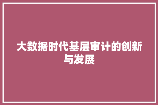 大数据时代基层审计的创新与发展  第1张