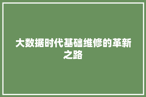 大数据时代基础维修的革新之路  第1张