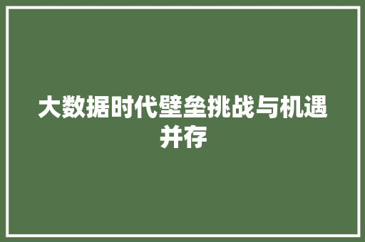 大数据时代壁垒挑战与机遇并存  第1张