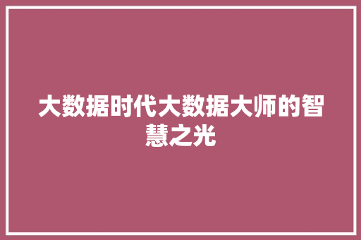 大数据时代大数据大师的智慧之光  第1张