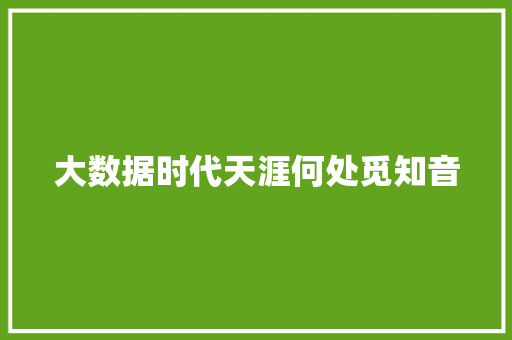 大数据时代天涯何处觅知音  第1张