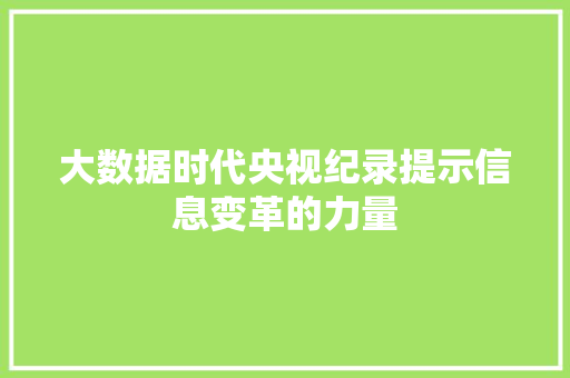 大数据时代央视纪录提示信息变革的力量  第1张
