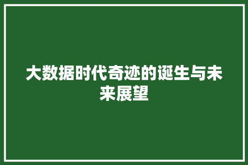 大数据时代奇迹的诞生与未来展望  第1张