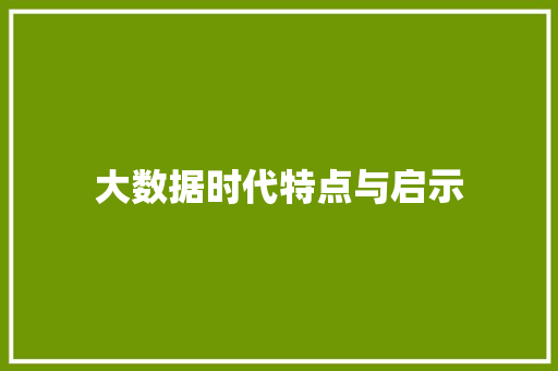 大数据时代特点与启示