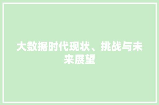 大数据时代现状、挑战与未来展望