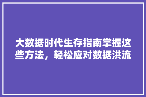 大数据时代生存指南掌握这些方法，轻松应对数据洪流  第1张