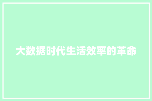 大数据时代生活效率的革命  第1张