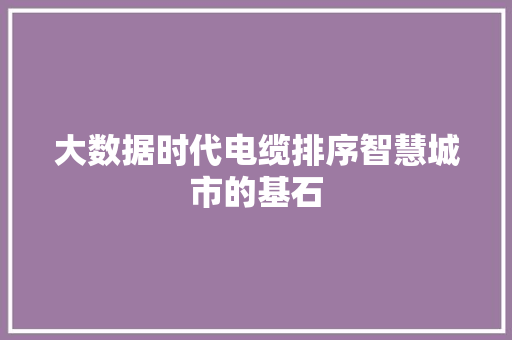 大数据时代电缆排序智慧城市的基石
