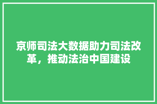 京师司法大数据助力司法改革，推动法治中国建设