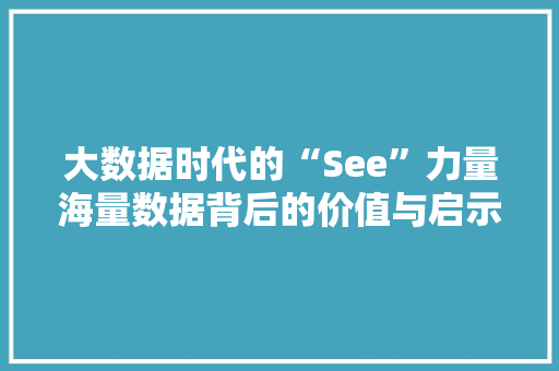 大数据时代的“See”力量海量数据背后的价值与启示  第1张
