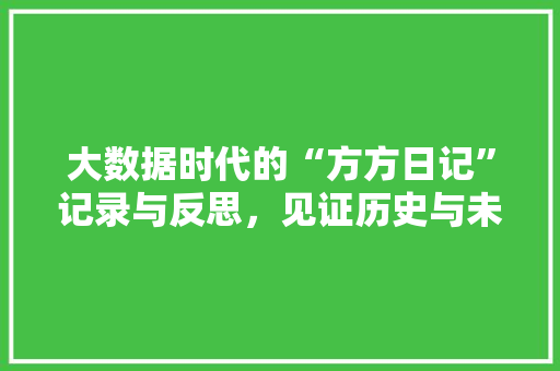 大数据时代的“方方日记”记录与反思，见证历史与未来