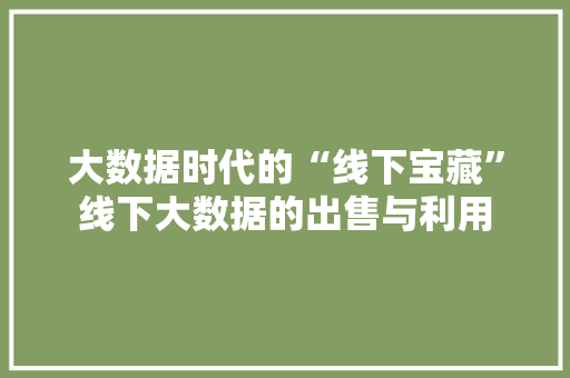 大数据时代的“线下宝藏”线下大数据的出售与利用  第1张