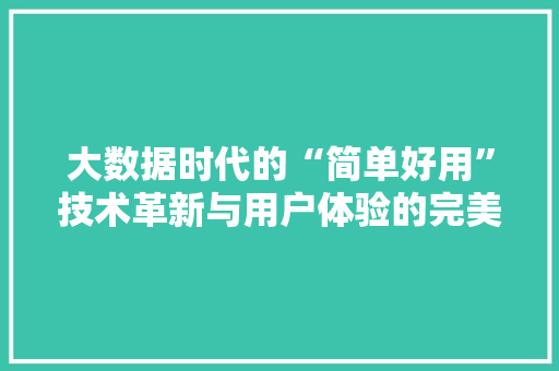 大数据时代的“简单好用”技术革新与用户体验的完美融合