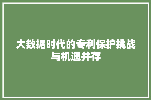 大数据时代的专利保护挑战与机遇并存