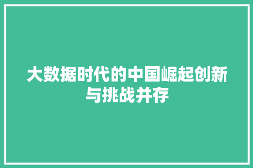 大数据时代的中国崛起创新与挑战并存  第1张