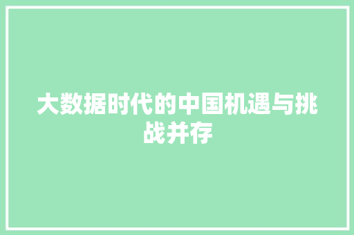 大数据时代的中国机遇与挑战并存  第1张