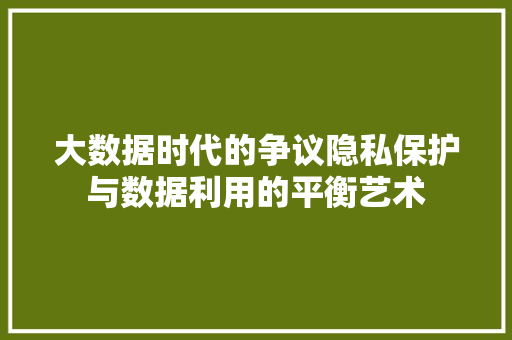 大数据时代的争议隐私保护与数据利用的平衡艺术