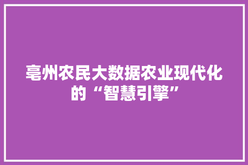 亳州农民大数据农业现代化的“智慧引擎”