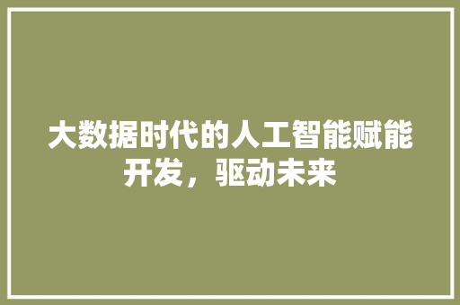大数据时代的人工智能赋能开发，驱动未来