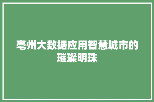 亳州大数据应用智慧城市的璀璨明珠