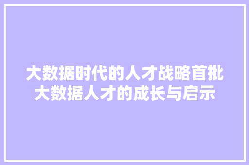 大数据时代的人才战略首批大数据人才的成长与启示  第1张