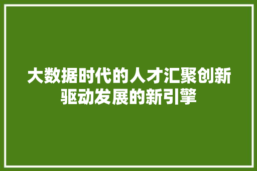 大数据时代的人才汇聚创新驱动发展的新引擎