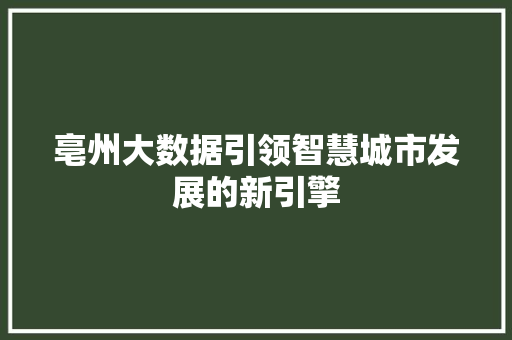 亳州大数据引领智慧城市发展的新引擎
