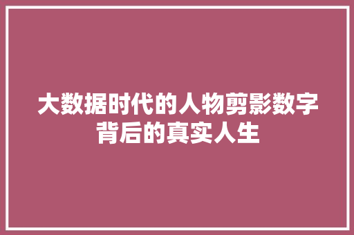 大数据时代的人物剪影数字背后的真实人生