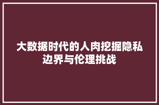 大数据时代的人肉挖掘隐私边界与伦理挑战