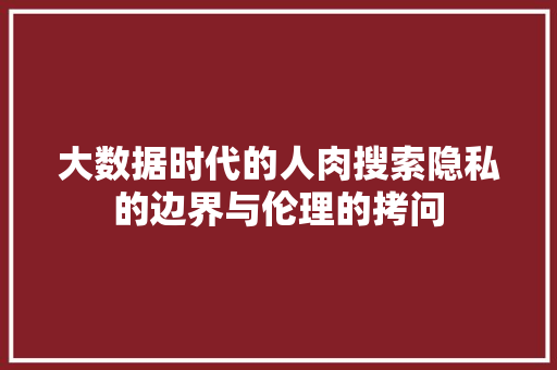 大数据时代的人肉搜索隐私的边界与伦理的拷问